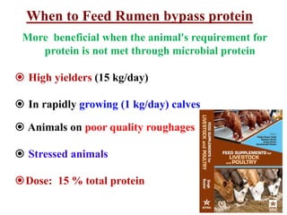 When to Feed Rumen bypass protein
More beneficial when the animal's requirement for
protein is not met through microbial protein
 High yielders (15 kg/day)
 In rapidly growing (1 kg/day) calves
 Animals on poor quality roughages
 Stressed animals
Dose: 15 % total protein
15
 