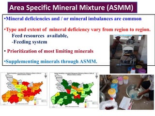 Area Specific Mineral Mixture (ASMM)
•Mineral deficiencies and / or mineral imbalances are common
•Type and extent of mineral deficiency vary from region to region.
Feed resources available,
-Feeding system
• Prioritization of most limiting minerals
•Supplementing minerals through ASMM.
 