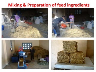 Mixing & Preparation of feed ingredients
 