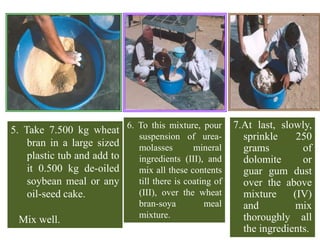 5. Take 7.500 kg wheat
bran in a large sized
plastic tub and add to
it 0.500 kg de-oiled
soybean meal or any
oil-seed cake.
Mix well.
27
6. To this mixture, pour
suspension of urea-
molasses mineral
ingredients (III), and
mix all these contents
till there is coating of
(III), over the wheat
bran-soya meal
mixture.
7.At last, slowly,
sprinkle 250
grams of
dolomite or
guar gum dust
over the above
mixture (IV)
and mix
thoroughly all
the ingredients.
 