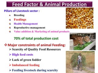 Feed Factor & Animal Production
Pillars of Livestock sector :
Breeding
Feedings
Health Management
Reproductive management
Value addition & Marketing of animal products
70% of total production cost <
Major constraints of animal Feeding:
Scarcity of Quality Feed Resources
High feed costs
Lack of green fodder
Imbalanced feeding
Feeding livestock during scarcity
 