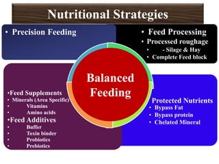 • Protected Nutrients
• Bypass Fat
• Bypass protein
• Chelated Mineral
•Feed Supplements
• Minerals (Area Specific)
• Vitamins
• Amino acids
•Feed Additives
• Buffer
• Toxin binder
• Probiotics
• Prebiotics
• Feed Processing
• Processed roughage
• - Silage & Hay
• Complete Feed block
• Precision Feeding
Balanced
Feeding
Nutritional Strategies
 