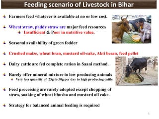 Farmers feed whatever is available at no or low cost.
Wheat straw, paddy straw are major feed resources
Insufficient & Poor in nutritive value.
Seasonal availability of green fodder
Crushed maize, wheat bran, mustard oil-cake, Akti besan, feed pellet
Dairy cattle are fed complete ration in Saani method.
Rarely offer mineral mixture to low producing animals
Very less quantity of 25g to 50g per day to high producing cattle
Feed processing are rarely adopted except chopping of
straw, soaking of wheat bhusha and mustard oil cake.
Strategy for balanced animal feeding is required
5
Feeding scenario of Livestock in Bihar
 
