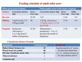 When green grass is plenty When paddy straw is the major roughage
Category Concentrate mixture
(Kg)
Green
Grass (kg)
Concentrate mixture (Kg) Green
Grass (kg)
Paddy
Straw (kg)
Dry cow - 25-30 1.25 5-10 5-6
Milking 1 kg for every 2.5-
3.0 kg of milk
30 1.25 kg (Maintenance)
+1 kg for every 2.5-3.0
kg of milk
5-10 5-6
Pregnant Production
Allowances +
1 to 1.5kg from 6
moths of pregnancy
25-30 Maintenance +
production + 1 to 1.5
kg from 6th month of
pregnancy
5-10 5-6
Feeding schedule of adult zebu cows
6
Ingredients Inclusion level Thumb rule
Maize/wheat/ broken rice 25 Equal proportion of maize,
oil cake and wheat bran
(1:1:1) ; mineral mixture @
2% and common salt1%
Wheat bran/rice polish 40
Oil cake/ Soyabean meal/ Akti 32
Mineral mixture 2
Common salt 1
Concentrate mixture Formula
 