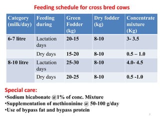 Category
(milk/day)
Feeding
during
Green
Fodder
(kg)
Dry fodder
(kg)
Concentrate
mixture
(Kg)
6-7 litre Lactation
days
20-15 8-10 3- 3.5
Dry days 15-20 8-10 0.5 – 1.0
8-10 litre Lactation
days
25-30 8-10 4.0- 4.5
Dry days 20-25 8-10 0.5 -1.0
Feeding schedule for cross bred cows
7
Special care:
•Sodium bicabonate @1% of conc. Mixture
•Supplementation of methioninine @ 50-100 g/day
•Use of bypass fat and bypass protein
 