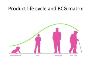 Product life cycle and BCG matrix

 