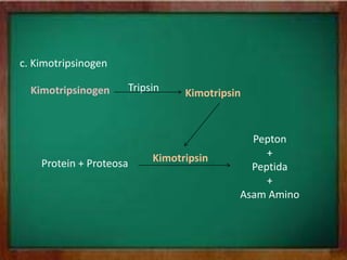 c. Kimotripsinogen
Kimotripsinogen Tripsin Kimotripsin
Protein + Proteosa
Pepton
+
Peptida
+
Asam Amino
Kimotripsin
 