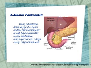 Akdeniz Üniversitesi Hastanesi Gastroenteroloji Hemşiresi P
4.Alkolik Pankreatit:
Genç erkeklerde
daha yaygındır. Kesin
nedeni bilinmemektedir
ancak büyük olasılıkla
toksik maddelere
maruziyet sonucu ortaya
çıktığı düşünülmektedir.
 