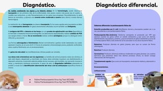 Se realiza analizando los signos y la historia clínica: En la hematología, puede observarse
leucopenia en los primeros días de la enfermedad, más severa cuanto más grave sea el cuadro. A
medida que evoluciona, y más frecuentemente en los gatos que progresan favorablemente, la serie
blanca se normaliza, y aparece una anemia entre moderada a severa (esta última si existe diarrea
hemorrágica)
La realización de un hemograma, se observa leucopenia, En los casos agudos esta leucopenia se debe
a una neutropenia absoluta. En gatos severamente afectados ocurre también una linfopenia.
El antígeno del FPV se detecta en las heces con una prueba de aglutinación con látex disponible en
el mercado o mediante inmunocromatografía. Los laboratorios especializados realizan análisis de PCR
con sangre entera o heces. No se recomienda realizar análisis serológicos porque no distinguen entre
infección y vacunación
Las formas sobreagudas o fulminantes afectan normalmente a gatitos recién destetados, los cuales
aparecen muertos en el curso de 8-12 horas sin presentar sintomatología previa, pudiendo confundirse
estos cuadros fácilmente con un envenenamiento.
En gatos de más edad, las manifestaciones clínicas pueden ser variadas.
Los datos más orientativos son los siguientes: La barbilla del animal presenta restos de vómitos, el
pelo está áspero, despeinado y manchado con heces, éstos animales muestran una deshidratación y
depresión extremas, mostrando además palidez de las mucosas, ojos hundidos, con secreción mucosa a
veces, y membrana nictitante prominente. A pesar de esto, el diagnóstico definitivo solamente es
posible a través de la identificación laboratorial del virus o de los anticuerpos específicos frente el
mismo.
Debemos diferenciar la panleucopenia felina de:
Enteritis producidas por E. coli: Manifiestan diarrea y leucopenia, pueden ser, a su
vez, secundarias a una panleucopenia felina.
Panleucopenia-like-síndrome: Síndrome semejante al producido por VPF que
aparece cuando los gatos sufren un estado estresante y que cursa con diarrea,
deshidratación, leucopenia y anemia, y que se presenta en gatos resistentes al virus de
la Panleucopenia felina. Este síndrome se ha asociado al virus de la leucemia felina.
Rotavirus: Producen diarreas en gatos jóvenes, pero que no cursan de forma
sobreaguda.
Reovirus: Producen diarreas.
Coronavirus: Producen síntomas entéricos moderados en gatos jóvenes. Los cuadros
diarreicos que presentan estos tres últimos procesos víricos, no llevan consigo
alteraciones del hemograma.
Toxoplasmosis aguda: Que cursa con leucopenia ,neutropenia relativa y desviación a
la iz
Envenenamientos.
Linfosarcomas.
Cambios muy bruscos de alimentación, cuerpos extraños en intestino,
parasitosis intestinal (Giardia, Ascaris, Coccidiosis) y otras condiciones que puedan
provocar diarrea en gatos jóvenes deben diferenciarse también de la Panleucopenia.
Diagnóstico. Diagnóstico diferencial.
● Feline Panleucopenia Virus Ag Test VECHEK.
● Feline Panleukopenia Virus Ag Test PETSCREEN.
 