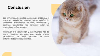 Conclusion
Las enfermedades virales son un gran problema, el
correcto cuidado de nuestros gatos significa la
diferencia, mantenerlos en casa, vacunación y
controles constantes nos permiten evitar los
contagios y enfermedades.
Incentivar a la vacunación y sus refuerzos, nos da
como resultado un gato que tendrá menos
probabilidad de morir producto de estas
enfermedades virales presentes.
 
