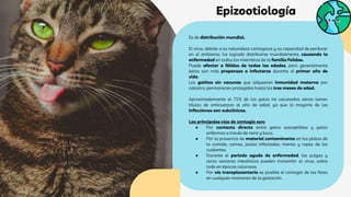 Es de distribución mundial.
El virus, debido a su naturaleza contagiosa y su capacidad de perdurar
en el ambiente, ha logrado distribuirse mundialmente, causando la
enfermedad en todos los miembros de la familia Felidae.
Puede afectar a félidos de todas las edades, pero generalmente
éstos son más propensos a infectarse durante el primer año de
vida.
Los gatitos sin vacunas que adquieren inmunidad materna por
calostro, permanecen protegidos hasta los tres meses de edad.
Aproximadamente el 75% de los gatos no vacunados sanos tienen
títulos de anticuerpos al año de edad, ya que la mayoría de las
infecciones son subclínicas.
Las principales vías de contagio son:
● Por contacto directo entre gatos susceptibles y gatos
enfermos a través de nariz y boca.
● Por la presencia de material contaminante en los platos de
la comida, camas, jaulas infectadas, manos y ropas de los
cuidantes.
● Durante el período agudo de enfermedad, las pulgas y
otros vectores mecánicos pueden transmitir el virus, sobre
todo en épocas calurosas.
● Por vía transplacentaria es posible el contagio de los fetos
en cualquier momento de la gestación.
Epizootiología
 
