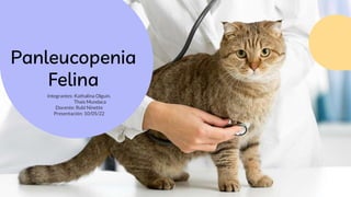 Panleucopenia
Felina
Integrantes: Kathalina Olguín.
Thais Mundaca
Docente: Rubi Ninette
Presentación: 10/05/22
 