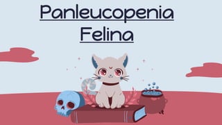 Panleucopenia
Felina
 