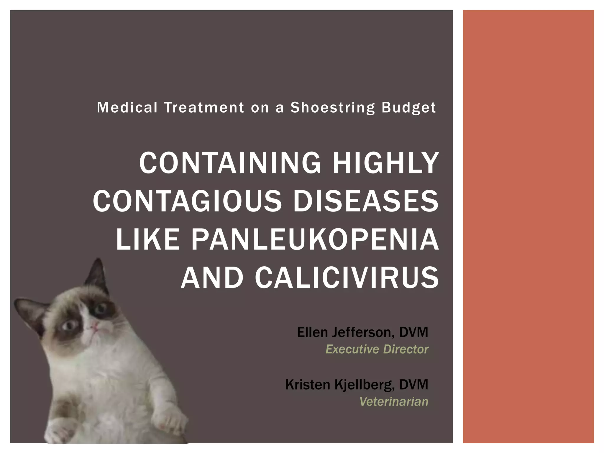 Photo inspiration: Visual Reference: Panleukopenia And Calicivirus