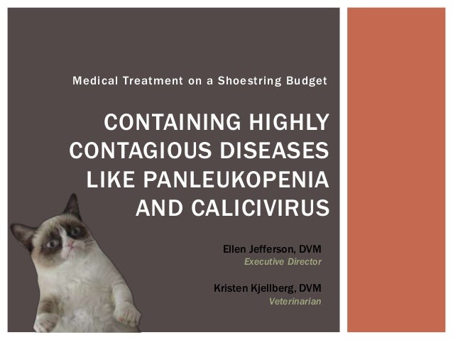 calici panleukopenia