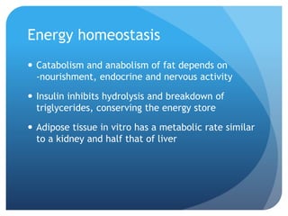 Energy homeostasis
 Catabolism and anabolism of fat depends on
-nourishment, endocrine and nervous activity
 Insulin inhibits hydrolysis and breakdown of
triglycerides, conserving the energy store
 Adipose tissue in vitro has a metabolic rate similar
to a kidney and half that of liver
 