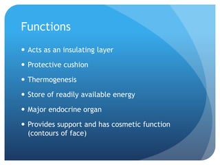 Functions
 Acts as an insulating layer
 Protective cushion
 Thermogenesis
 Store of readily available energy
 Major endocrine organ
 Provides support and has cosmetic function
(contours of face)
 