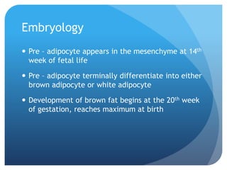 Embryology
 Pre – adipocyte appears in the mesenchyme at 14th
week of fetal life
 Pre – adipocyte terminally differentiate into either
brown adipocyte or white adipocyte
 Development of brown fat begins at the 20th week
of gestation, reaches maximum at birth
 