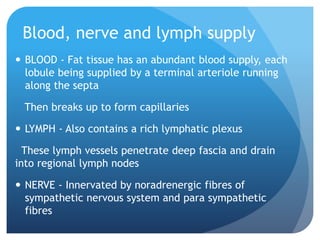 Blood, nerve and lymph supply
 BLOOD - Fat tissue has an abundant blood supply, each
lobule being supplied by a terminal arteriole running
along the septa
Then breaks up to form capillaries
 LYMPH - Also contains a rich lymphatic plexus
These lymph vessels penetrate deep fascia and drain
into regional lymph nodes
 NERVE - Innervated by noradrenergic fibres of
sympathetic nervous system and para sympathetic
fibres
 