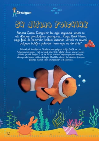 Akvaryum
Su Altına Yolculuk
Panora Çocuk Dergisi’nin bu ayki sayısında, sizleri su
altı dünyası yolculuğuna çıkarıyoruz... Kayıp Balık Nemo
çizgi filmi ile hepimizin kalbini kazanan sevimli mi sevimli
palyaço balığını yakından tanımaya ne dersiniz?
Bilimsel adı Amphiprion Ocellaris olan palyaço balığı, Pasifik ve Hint
Okyanusu’nda yaşar. Tatlı su balığı olan türün ağızları, burun ucunun hemen
altında yer alır. Boyları 3 cm ile 10 cm arasında değişen palyaço balığının,
akvaryumda bakımı oldukça kolaydır. Özellikle solucan ile kabukları içereren
diplerde ikamet eden omurgasızlar ile beslenirler.
12
 