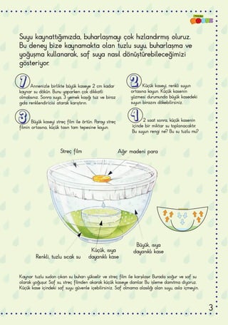 1 2
3 4
Suyu kaynattığımızda, buharlaşmayı çok hızlandırmış oluruz.
Bu deney bize kaynamakta olan tuzlu suyu, buharlaşma ve
yoğuşma kullanarak, saf suya nasıl dönüştürebileceğimizi
gösteriyor.
Annenizle birlikte büyük kaseye 2 cm kadar
kaynar su dökün. Bunu yaparken çok dikkatli
olmalısınız. Sonra suya, 3 yemek kaşığı tuz ve biraz
gıda renklendiricisi atarak karıştırın.
Kaynar tuzlu sudan çıkan su buharı yükselir ve streç film ile karşılaşır. Burada soğur ve saf su
olarak yoğuşur. Saf su, streç filmden akarak küçük kaseye damlar. Bu işleme damıtma diyoruz.
Küçük kase içindeki saf suyu güvenle içebilirsiniz. Saf olmama olasılığı olan suyu, asla içmeyin.
Küçük kaseyi, renkli suyun
ortasına koyun. Küçük kasenin
yüzmesi durumunda büyük kasedeki
suyun birazını dökebilirsiniz.
Büyük kaseyi streç film ile örtün. Parayı streç
filmin ortasına, küçük tasın tam tepesine koyun.
2 saat sonra, küçük kasenin
içinde bir miktar su toplanacaktır.
Bu suyun rengi ne? Bu su tuzlu mu?
Streç film Ağır madeni para
Renkli, tuzlu sıcak su
Küçük, ısıya
dayanıklı kase
Büyük, ısıya
dayanıklı kase
3
 