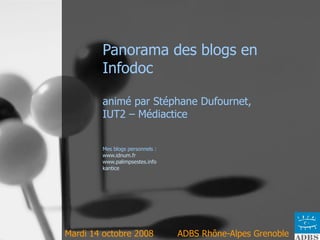 Panorama des blogs en Infodoc  animé par Stéphane Dufournet,  IUT2 – Médiactice Mes blogs personnels :  www.idnum.fr www.palimpsestes.info kantice Mardi 14 octobre 2008    ADBS Rhône-Alpes Grenoble 