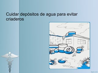 Cuidar depósitos de agua para evitar
criaderos
 