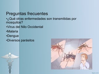 Preguntas frecuentes
•¿Qué otras enfermedades son transmitidas por
mosquitos?
•Virus del Nilo Occidental
•Malaria
•Dengue
•Diversos parásitos
 