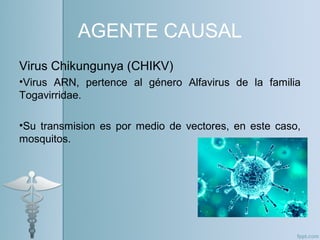 AGENTE CAUSAL
Virus Chikungunya (CHIKV)
•Virus ARN, pertence al género Alfavirus de la familia
Togavirridae.
•Su transmision es por medio de vectores, en este caso,
mosquitos.
 