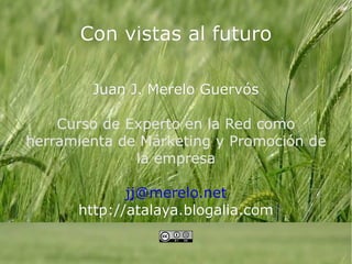 Con vistas al futuro Juan J. Merelo Guervós Curso de Experto en la Red como herramienta de Márketing y Promoción de la empresa [email_address] http://atalaya.blogalia.com 