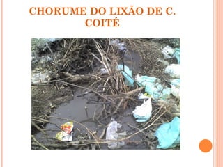 CHORUME DO LIXÃO DE C.
       COITÉ
 
