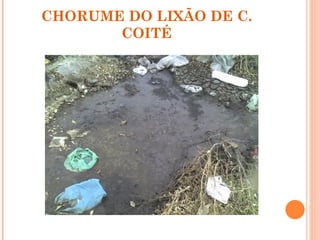CHORUME DO LIXÃO DE C.
       COITÉ
 