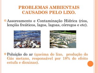 PROBLEMAS AMBIENTAIS
        CAUSADOS PELO LIXO.
 Assoreamento   e Contaminação Hídrica (rios,
 lençóis freáticos, lagos, lagoas, córregos e etc).




 Poluição do ar (queima do lixo, produção do
 Gás metano, responsável por 18% do efeito
 estufa e dioxinas).
 
