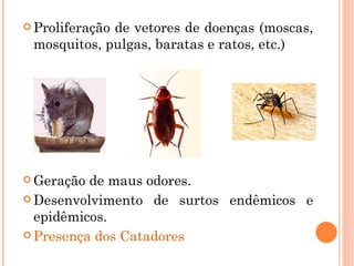  Proliferação
             de vetores de doenças (moscas,
 mosquitos, pulgas, baratas e ratos, etc.)




 Geração de maus odores.
 Desenvolvimento de surtos endêmicos e
  epidêmicos.
 Presença dos Catadores
 