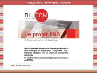 Acquisitions numériques : ebooks
 