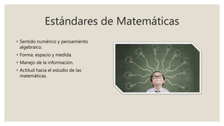 Estándares de Matemáticas
• Sentido numérico y pensamiento
algebraico.
• Forma, espacio y medida.
• Manejo de la información.
• Actitud hacia el estudio de las
matemáticas.
 