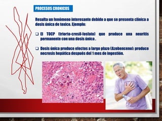 PROCESOS CRONICOS 
Resulta un fenómeno interesante debido a que se presenta clínica a 
dosis única de toxico. Ejemplo: 
 El TOCP (triorto-cresil-fosfato) que produce una neuritis 
permanente con una dosis única . 
 Dosis única produce efectos a largo plazo (Azobenceno): produce 
necrosis hepática después del 1 mes de ingestión. 
 