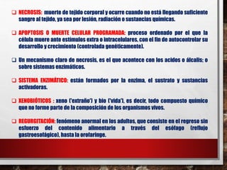  NECROSIS: muerte de tejido corporal y ocurre cuando no está llegando suficiente 
sangre al tejido, ya sea por lesión, radiación o sustancias químicas. 
 APOPTOSIS O MUERTE CELULAR PROGRAMADA: proceso ordenado por el que la 
célula muere ante estímulos extra o intracelulares, con el fin de autocontrolar su 
desarrollo y crecimiento (controlada genéticamente). 
 Un mecanismo claro de necrosis, es el que acontece con los acidos o álcalis; o 
sobre sistemas enzimáticos. 
 SISTEMA ENZIMÁTICO: están formados por la enzima, el sustrato y sustancias 
activadoras. 
 XENOBIÓTICOS : xeno ('extraño') y bio ('vida'), es decir, todo compuesto químico 
que no forme parte de la composición de los organismos vivos. 
 REGURGITACIÓN: fenómeno anormal en los adultos, que consiste en el regreso sin 
esfuerzo del contenido alimentario a través del esófago (reflujo 
gastroesofágico), hasta la orofaringe. 
 
