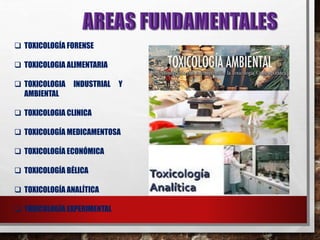  TOXICOLOGÍA FORENSE 
 TOXICOLOGIA ALIMENTARIA 
 TOXICOLOGIA INDUSTRIAL Y 
AMBIENTAL 
 TOXICOLOGIA CLINICA 
 TOXICOLOGÍA MEDICAMENTOSA 
 TOXICOLOGÍA ECONÓMICA 
 TOXICOLOGÍA BÉLICA 
 TOXICOLOGÍA ANALÍTICA 
 TOXICOLOGÍA EXPERIMENTAL 
 