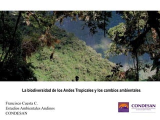 La biodiversidad de los Andes Tropicales y los cambios ambientales Francisco Cuesta C. Estudios Ambientales Andinos CONDESAN 