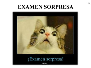 14
EXAMEN SORPRESA
 