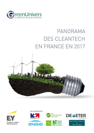 PANORAMA
DES CLEANTECH
EN FRANCE EN 2017
Avec le partenariat de  :
Les
ÉCO-ENTREPRISES
de France
France
ÉCO-TECH
 