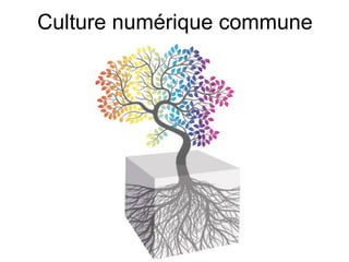 Culture numérique commune 