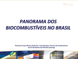 PANORAMA DOS
BIOCOMBUSTÍVEIS NO BRASIL


   Ricardo França Nunes da Rocha –Coordenador Técnico de Combustíveis
                   da Cia Brasileira de Petróleo Ipiranga
 