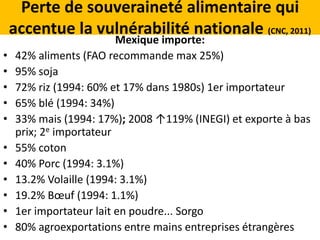 Perte de souveraineté alimentaire qui 
accentue la vulnérabilité nationale (CNC, 2011) 
Mexique importe: 
• 42% aliments (FAO recommande max 25%) 
• 95% soja 
• 72% riz (1994: 60% et 17% dans 1980s) 1er importateur 
• 65% blé (1994: 34%) 
• 33% mais (1994: 17%); 2008 ↑119% (INEGI) et exporte à bas 
prix; 2e importateur 
• 55% coton 
• 40% Porc (1994: 3.1%) 
• 13.2% Volaille (1994: 3.1%) 
• 19.2% Boeuf (1994: 1.1%) 
• 1er importateur lait en poudre... Sorgo 
• 80% agroexportations entre mains entreprises étrangères 
 
