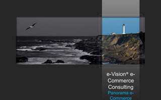 e-Vision® e- 
Commerce 
Consulting 
Panorama e- 
Commerce 
 
