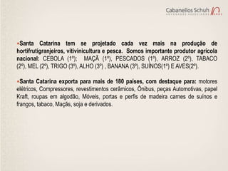 Santa    Catarina tem se projetado cada vez mais na produção de
hortifrutigranjeiros, vitivinicultura e pesca. Somos importante produtor agrícola
nacional: CEBOLA (1º); MAÇÃ (1º), PESCADOS (1º), ARROZ (2º), TABACO
(2º), MEL (2º), TRIGO (3º), ALHO (3º) , BANANA (3º), SUÍNOS(1º) E AVES(2º).

Santa Catarina exporta para mais de 180 países, com destaque para: motores
elétricos, Compressores, revestimentos cerâmicos, Ônibus, peças Automotivas, papel
Kraft, roupas em algodão, Móveis, portas e perfis de madeira carnes de suínos e
frangos, tabaco, Maçãs, soja e derivados.
 