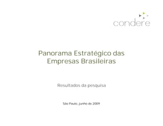 Panorama Estratégico das
  Empresas Brasileiras


     Resultados da pesquisa



       São Paulo, junho de 2009
 