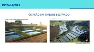 INSTALAÇÕES
CRIAÇÃO EM TANQUE ESCAVADO
FONTE: Google Imagens (2023)
[FIGURA 10: Criatório em tanque escavado]
[FIGURA 9: Criação em tanque escavado revestido com lona]
 