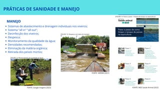 Sistemas de abastecimento e drenagem individuais nos viveiros;
Sistema "all in" "all out";
Desinfecção dos viveiros;
Despesca;
Monitoramento da qualidade da água;
Densidades recomendadas;
Eliminação da matéria orgânica;
Retirada dos peixes mortos;
PRÁTICAS DE SANIDADE E MANEJO
MANEJO
FONTE: IAREMA (2021)
FONTE: Google Imagens (2023) FONTE: MSD Saúde Animal (2022)
[FIGURA 13: Monitoramento de qualidade da água]
[FIGURA 14: Despesca com balsa de manejo]
[FIGURA 14: Passo a passo - limpeza de tanque na aquicultura]
 